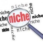 how to choose niche